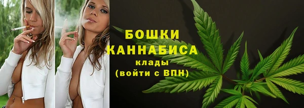 ГАЛЛЮЦИНОГЕННЫЕ ГРИБЫ Бронницы
