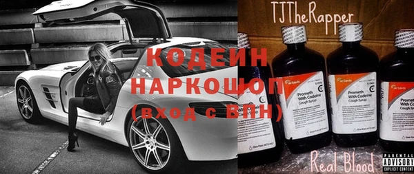 хмурый Бородино