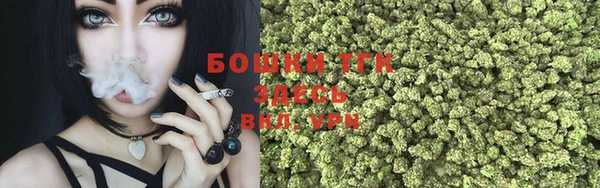хмурый Бородино