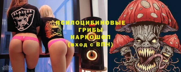 ГАЛЛЮЦИНОГЕННЫЕ ГРИБЫ Бронницы