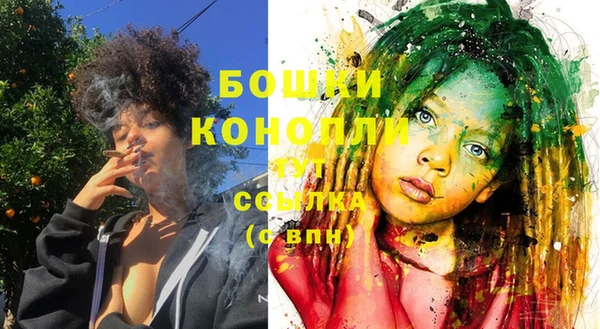 хмурый Бородино