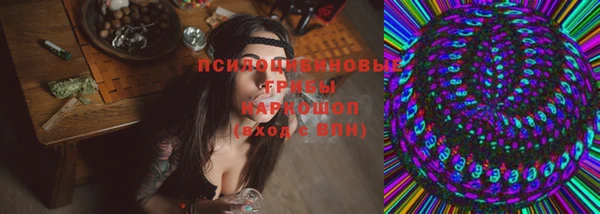хмурый Бородино
